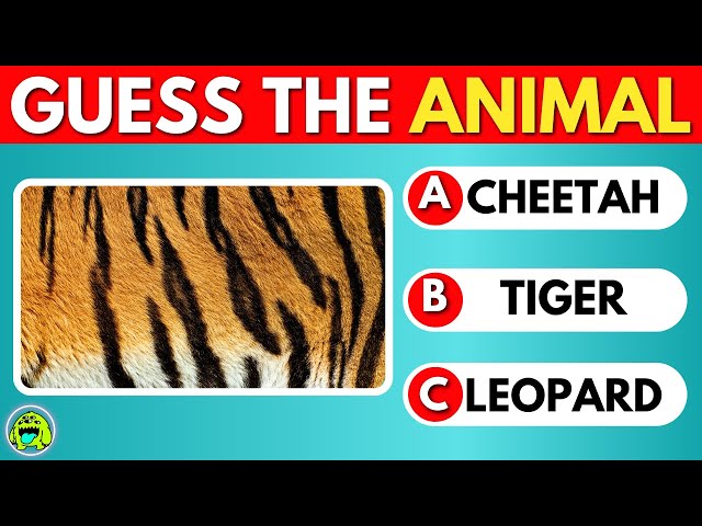 Guess The Animal By Their Skin