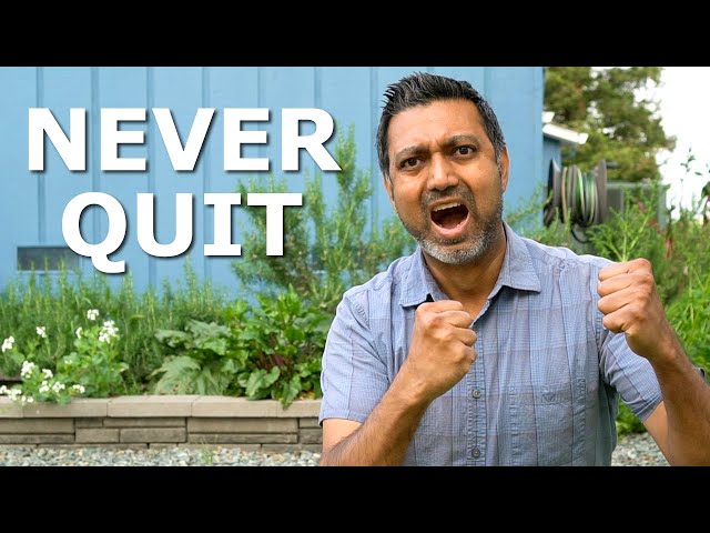 I WON'T QUIT and Here is WHY!
