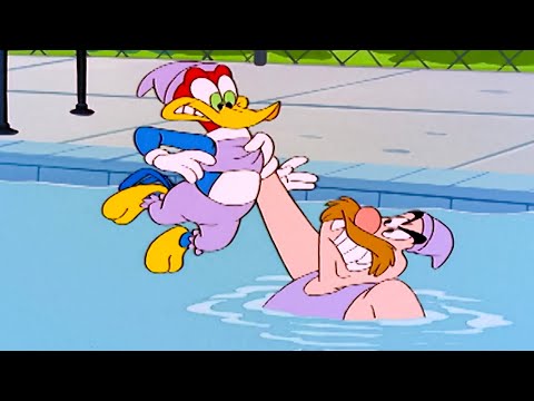 1 Hour | Full Episodes | Woody Woodpecker