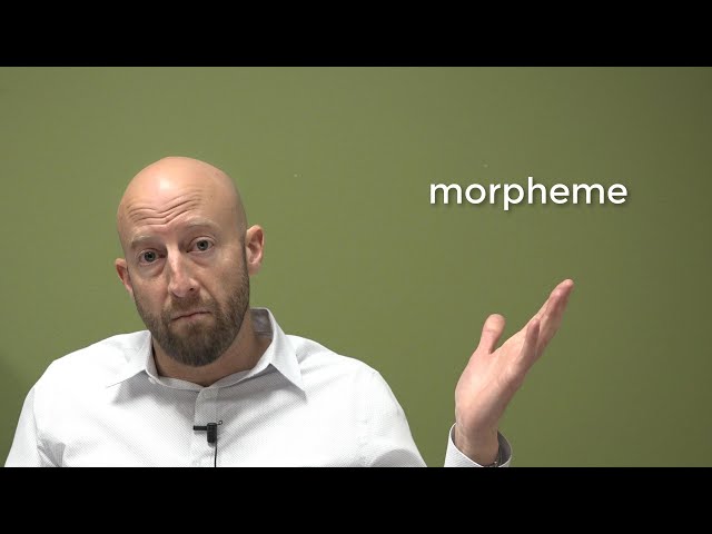 Morphology (part 1)