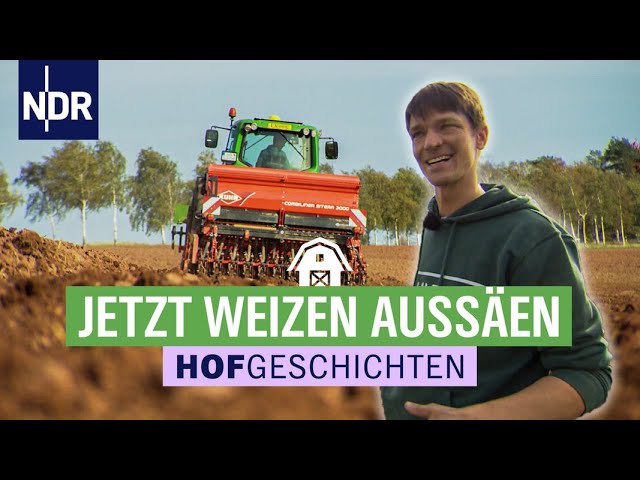 Die Landwirte nutzen den warmen November | Die Nordreportage: Hofgeschichten (204) | NDR