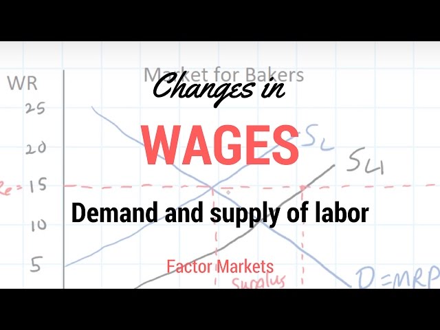Labor Markets - Change in in Equilibrium Wage Rate and Level of Employment