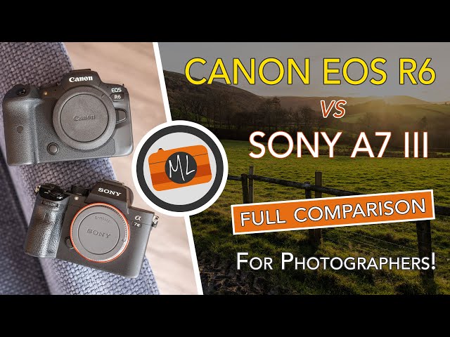 Canon EOS R6 vs Sony A7 III Full Comparison, Part 1: All About Photography