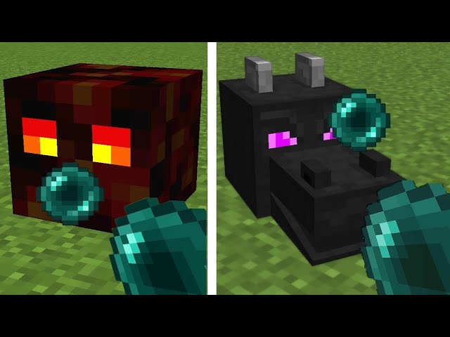 what's inside minecraft blocks and mobs ? All parts 1-6
