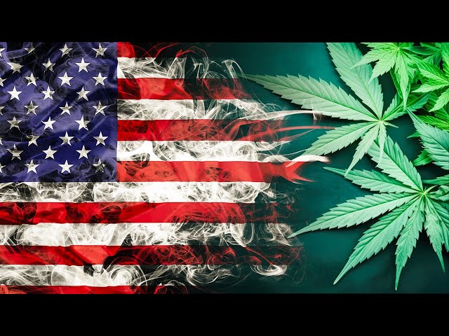 Biden Reclassifying Marijuana as “Low-Risk Drug” Alongside Tylenol #Shorts