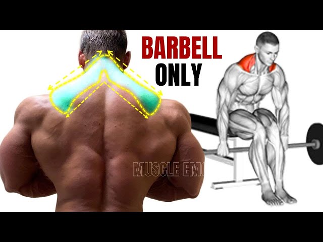 TRAPS WORKOUT- 5 best exercises with BARBELL only at homme
