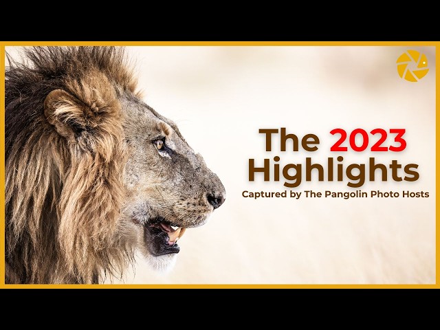 Our 2023 Wildlife Photography HIGHLIGHTS!