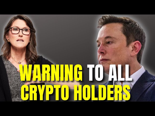 BIGGEST Cryptocurrency  News HAPPENING NOW! (Elon Musk, Cathie Wood, Jack Dorsey)