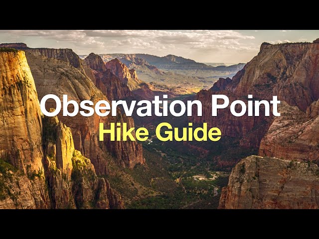 Hike Observation Point Zion (East Mesa Trail)
