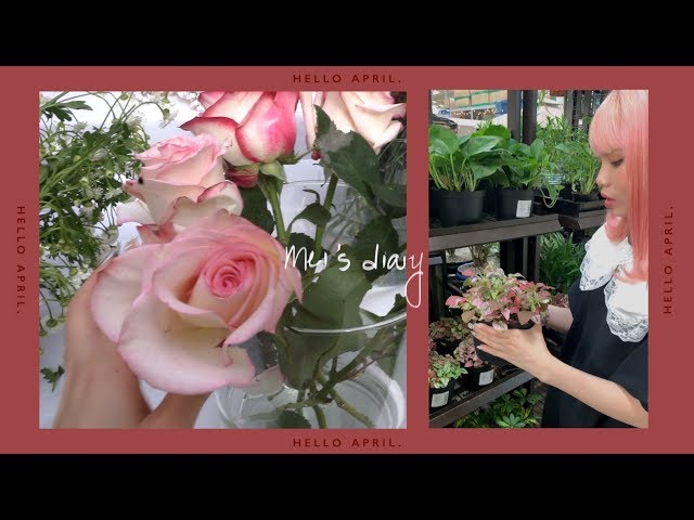 april vlog 🌹 plant shopping, cooking for my dog & daily life