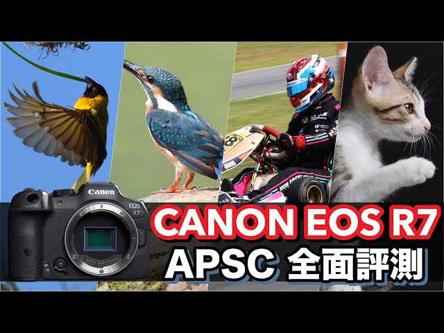 性能APS-C旗艦再臨！Canon EOS R7 全面評測 4K UHD【#FurchLab攝影實驗室】