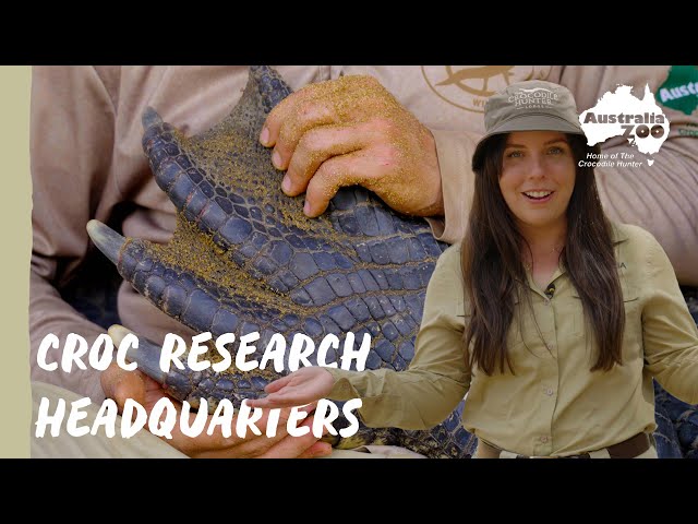 A look inside Camp Coolibah | Wildlife Warriors Missions