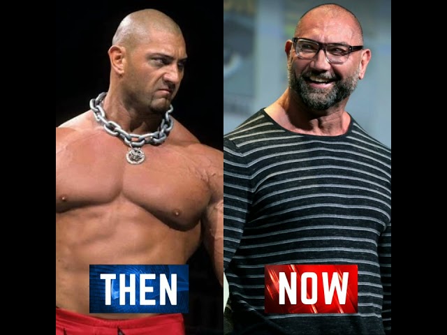 Most Popular WWE Wrestlers From Debut To Superstars (Then & Now)..