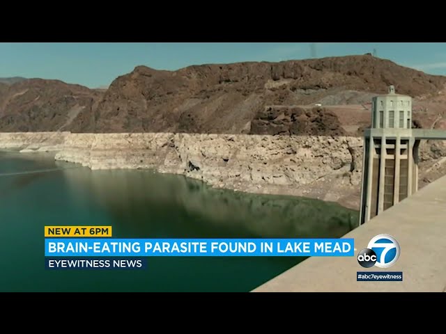 Rare brain-eating parasite kills boy after visit to Lake Mead