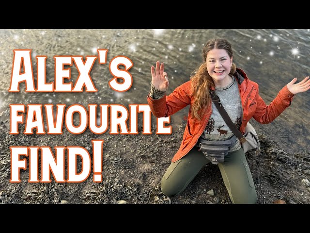 Low Tide Reveals Surprising Finds & Favourite Find for Alex! (Mudlarking & Treasure Hunting)