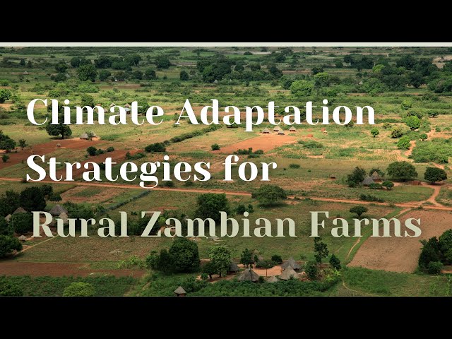 Influence of Climate on Agricultural Decision-Making from Smallholders in Zambia | Gemma Del Rossi