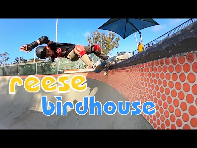 Reese Nelson - Welcome to Birdhouse