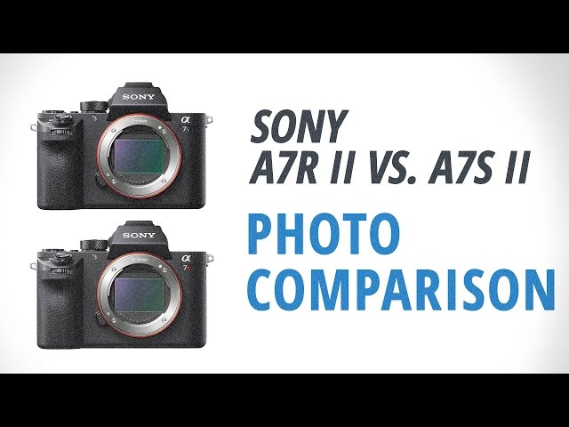 Sony a7R II vs. a7S II Part 1: Photography Comparison
