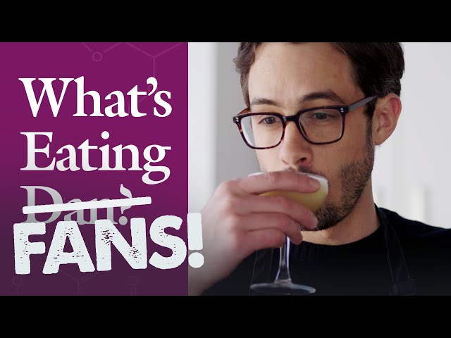 Dan Answers All Your Lemon Questions | What's Eating Fans?