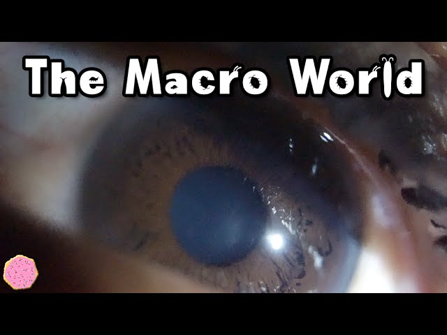 🌎 THE MACRO WORLD