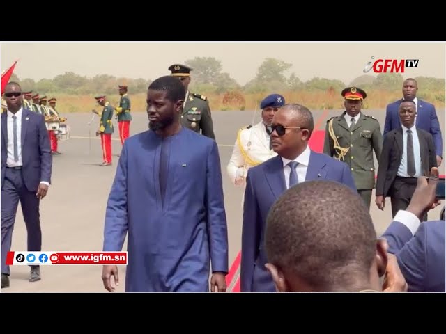 Les images de l'arrivée du Président Diomaye en Guinée Bissau