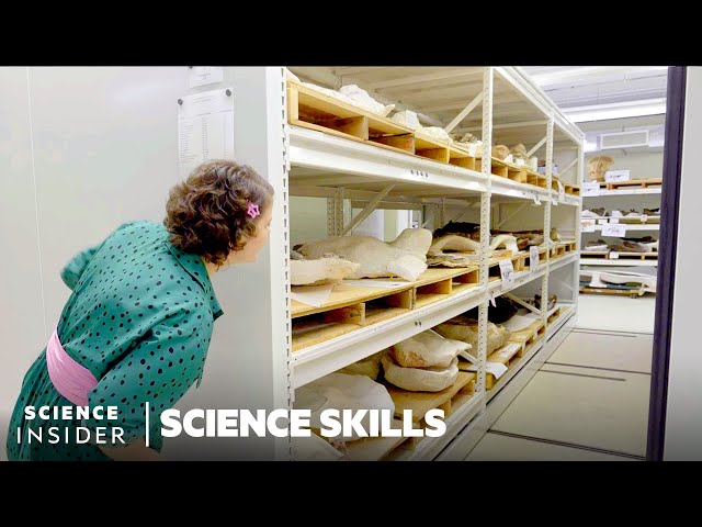 We Dissolved Fossils To Prove Dinosaurs Were Warm Blooded | Science Skills