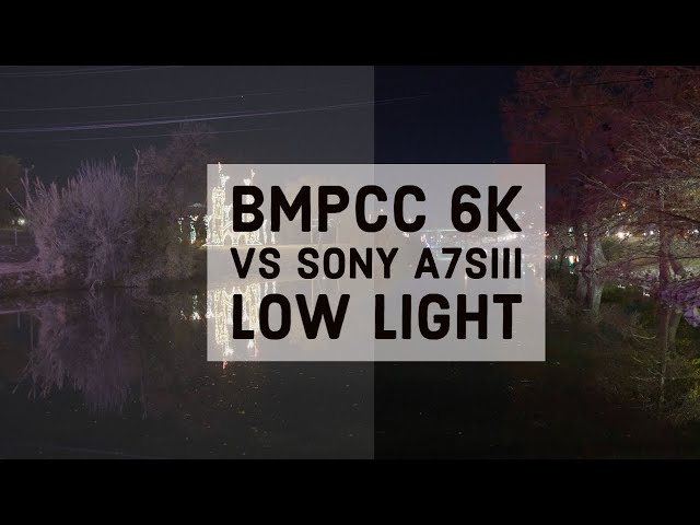 Bmpcc 6k vs Sony A7s iii