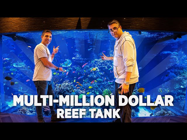 WWC Visits The Largest Private Reef Tank in America