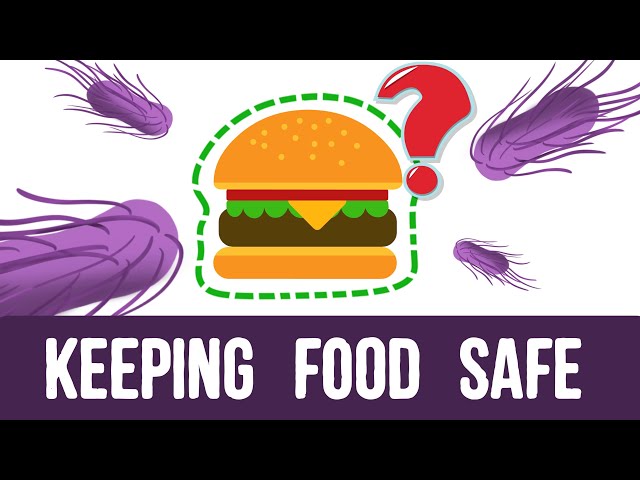 Food safety 101 - The journey of food safety from farm to table
