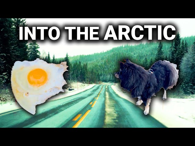 Arctic Scenery - Lofoten Electric Adventure Part 2