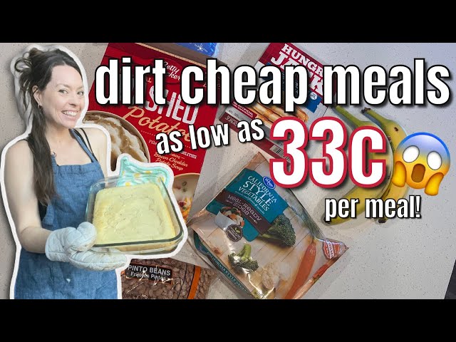 Dirt Cheap Meals You Should Be Making! As Low As 33c PER MEAL! Cheap Healthy Meals that DON’T SUCK!