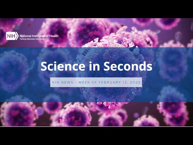 NIH Science in Seconds – Week of February 13, 2023