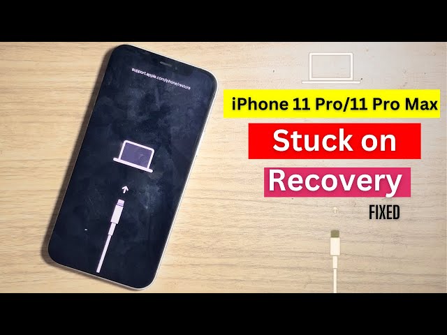 iPhone 11 Pro/11 Pro Max Stuck on Recovery fixed 2024.