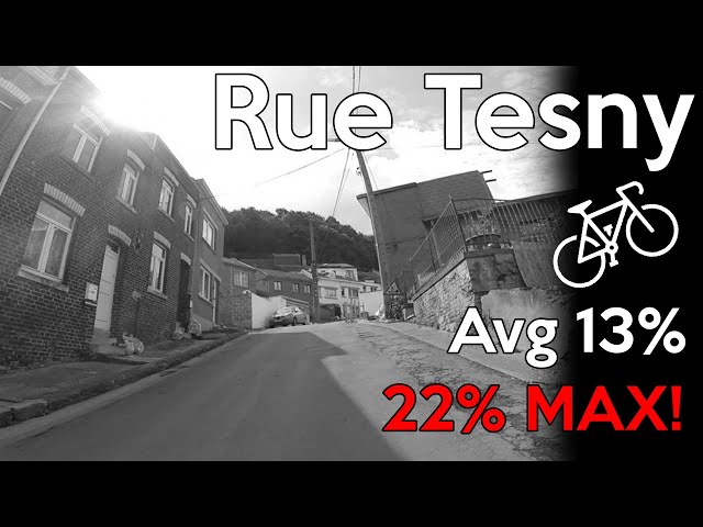 Rue Tesny