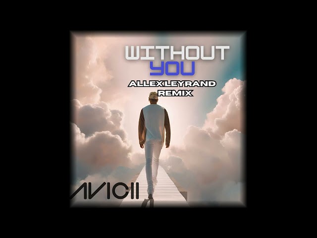 Avicii - Without You ft. Sandro Cavazza(Allex Leyrand Remix)