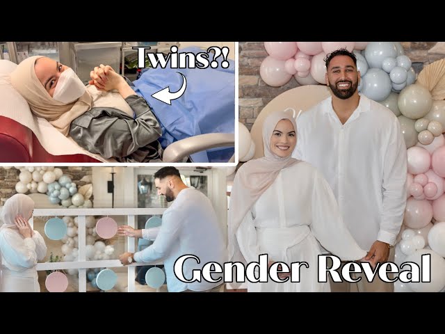 Are We Having Twins? GENDER REVEAL | Our Fertility Journey Episode 5