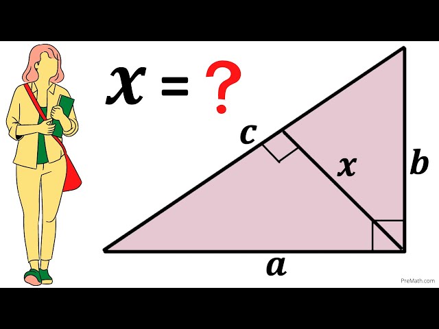 Can you find the length x in the right triangle? | Important Geometry skills explained