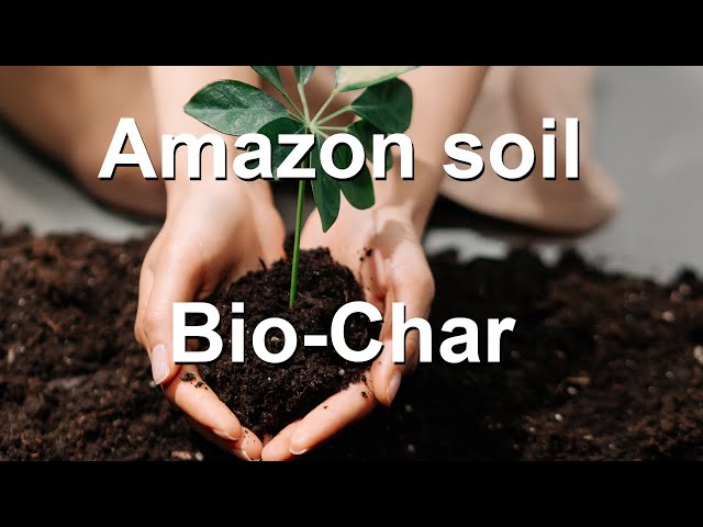 Mysterious Amazon soil (Bio-char) What is Terra Preta soil?
