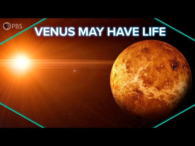 Venus May Have Life!