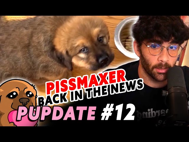 KAYA is PISS MAXING to unimaginable degrees | PUPDATE #12