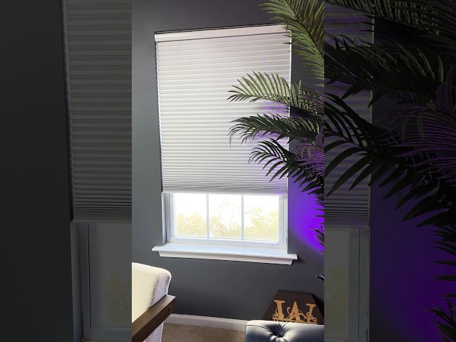 Lutron Smart Shades with Pico Remote!