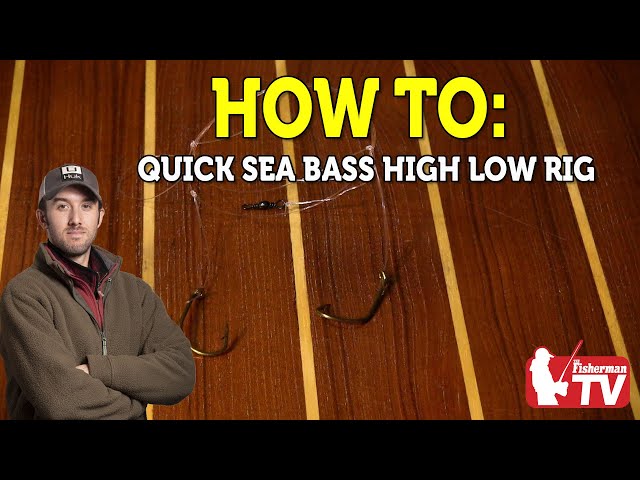 Sea Bass High Low Rig