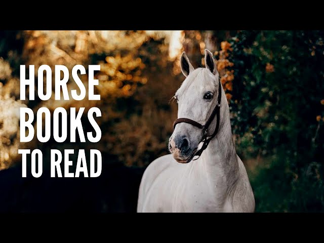 20 Best Horse Books Everyone Should Read