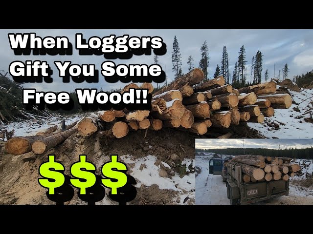 Wood Gathering Don't Get Easier Than This!!$$$