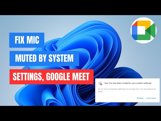 Fixing: Your Mic is Muted by System Settings on Google Meet