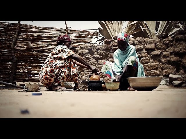 Lives depend on it: Fighting malaria in Chad