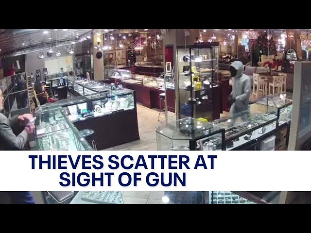 Thieves scatter after store employee pulls out gun to thwart robbery
