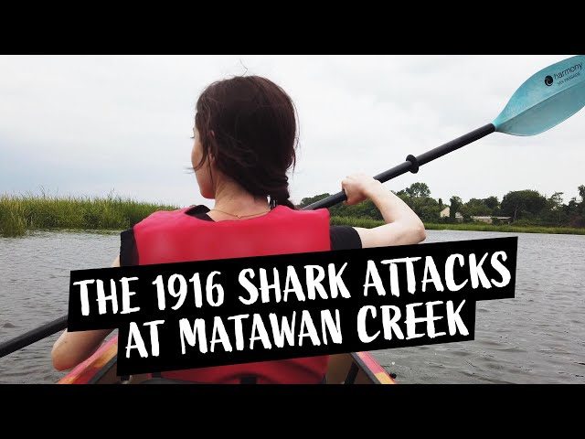 The 1916 SHARK ATTACKS at Matawan Creek, NJ