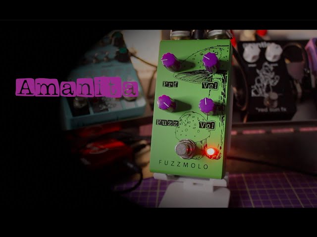 Wintter Labs - Amanita Fuzzmolo - The best of both worlds: fuzz and tremolo in a box!