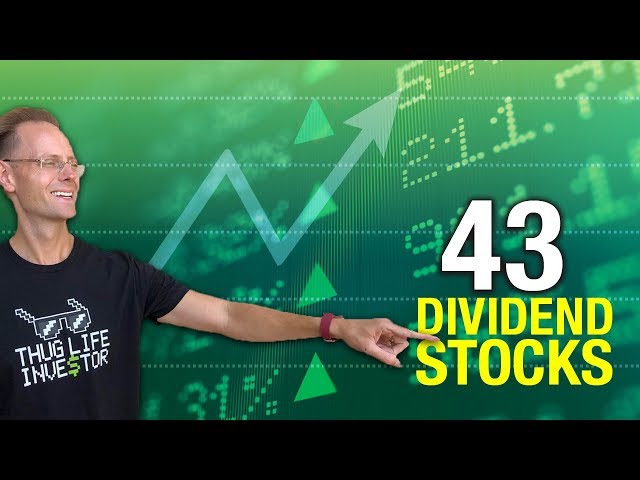 I Just Bought This Dividend Stock Pick (I Now Own 43 Dividend Stocks)